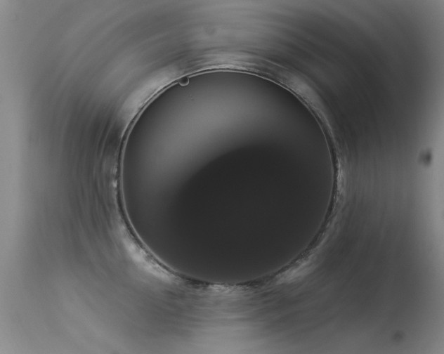 X0000113270954200909171710