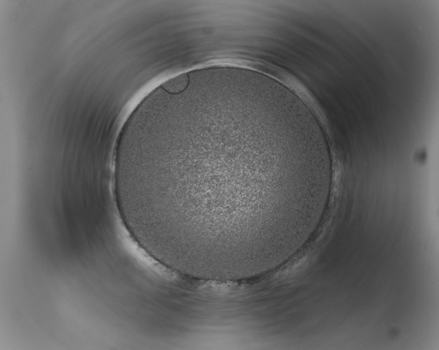 X0000113270955200909171710