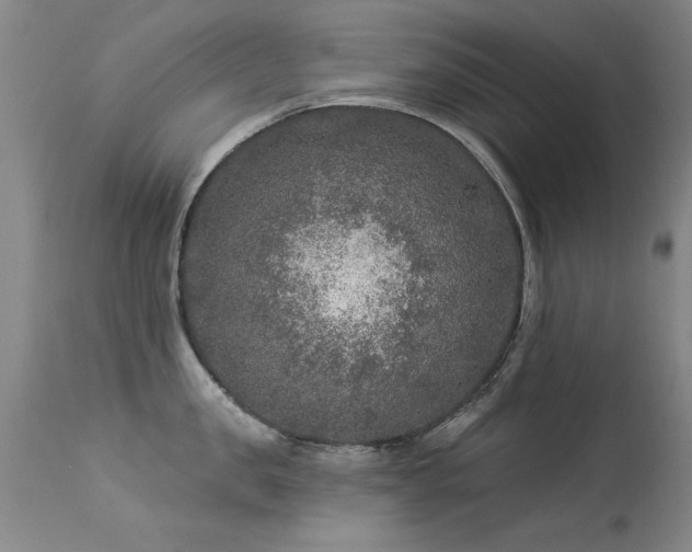 X0000113270957200909171710