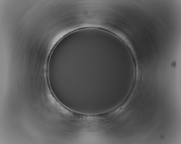 X0000113270958200909171710