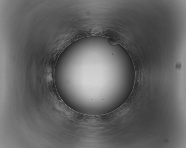 X0000113270962200909171710