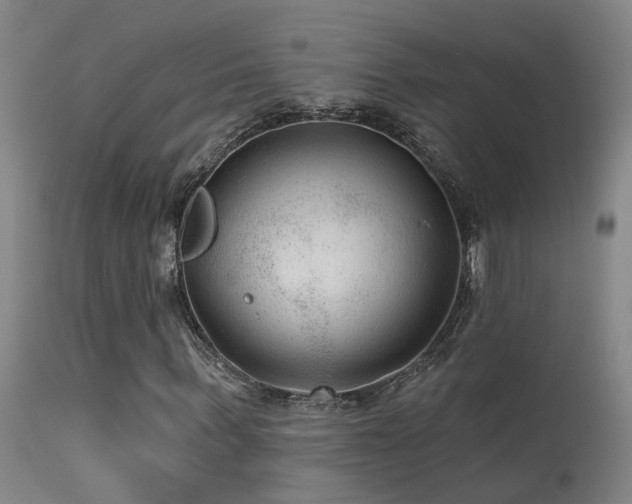X0000113270963200909171710