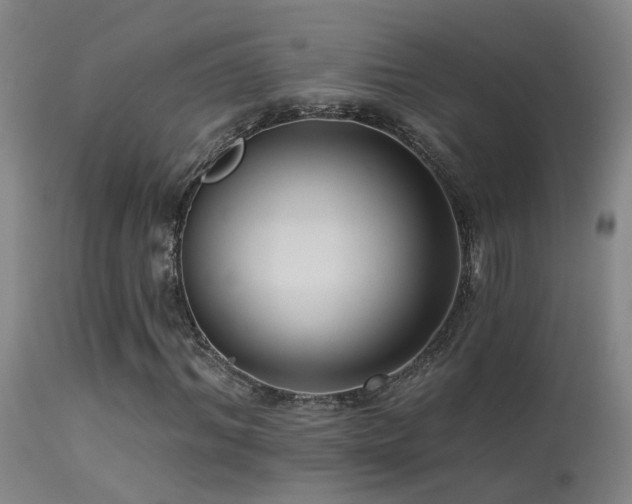 X0000113270964200909171710