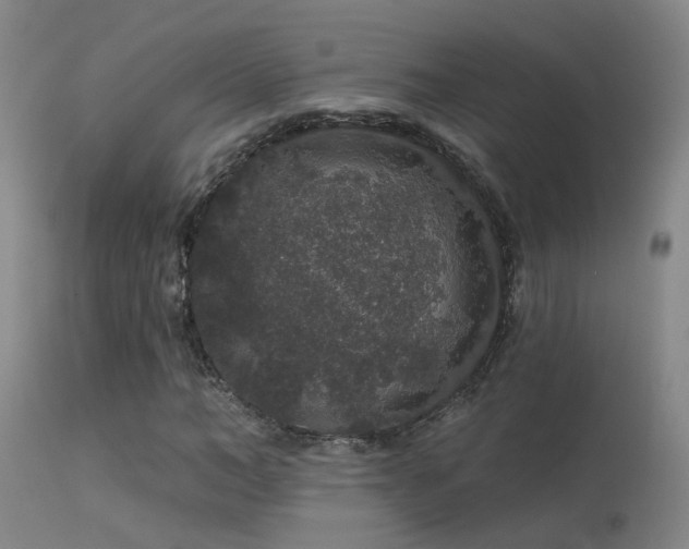 X0000113270966200909171709