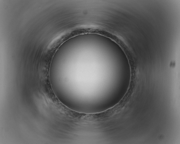 X0000113270967200909171709