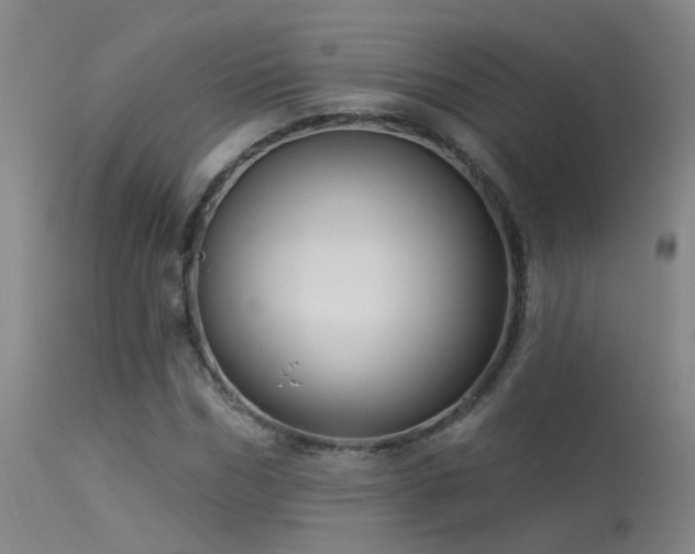 X0000113270970200909171709