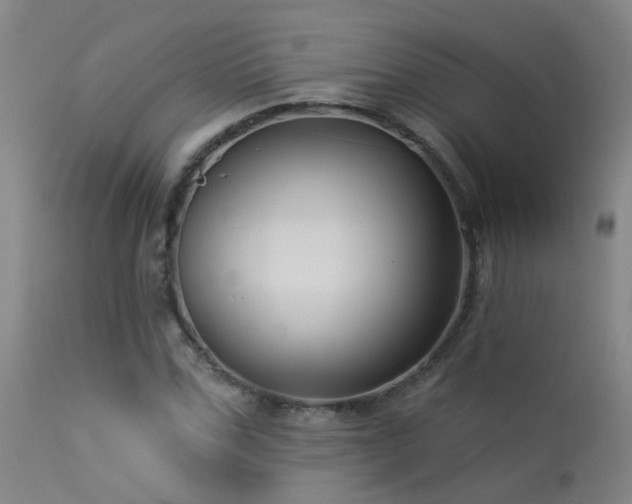 X0000113270971200909171709