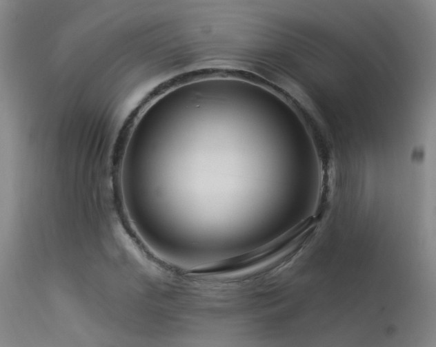 X0000113270972200909171709