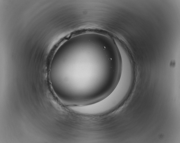 X0000113270973200909171709