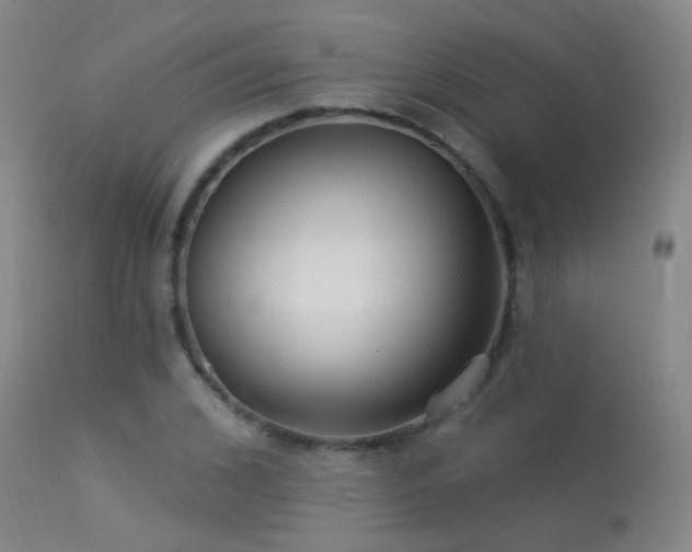 X0000113270976200909171709