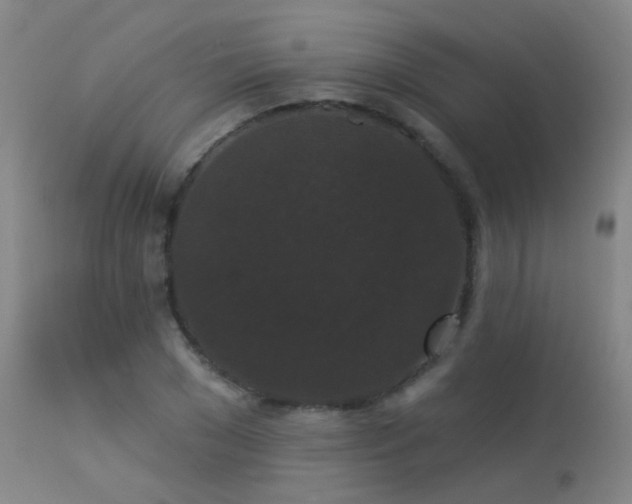 X0000113270977200909171709