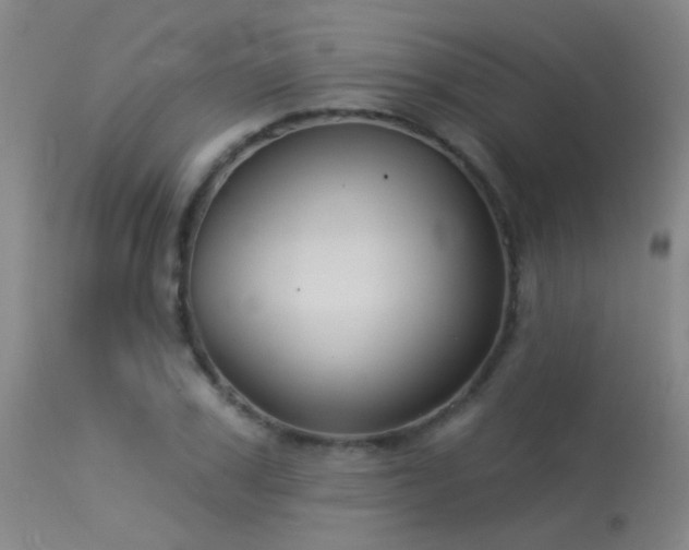 X0000113270979200909171709