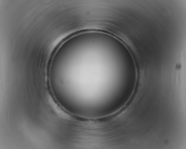 X0000113270980200909171709