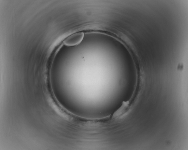 X0000113270981200909171709