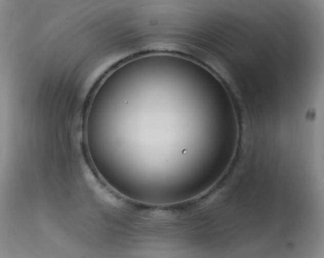 X0000113270984200909171709