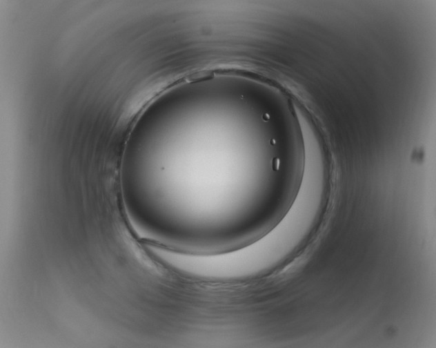 X0000113270985200909171709