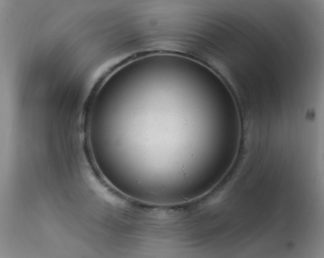 X0000113270987200909171709