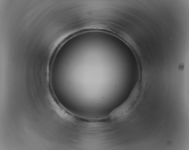 X0000113270988200909171709