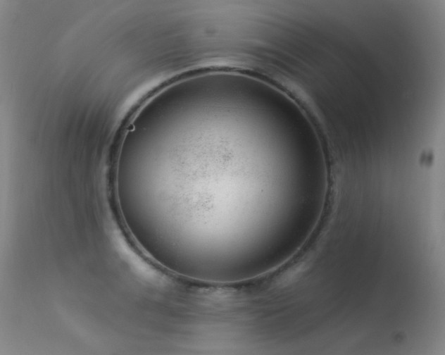 X0000113270991200909171709