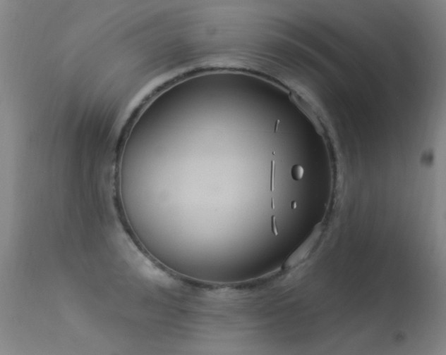 X0000113270992200909171709