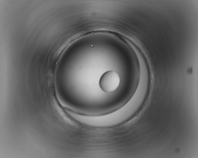X0000113270993200909171709