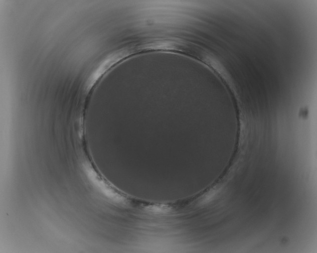 X0000113270994200909171709