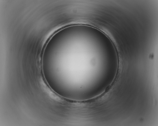 X0000113270996200909171709