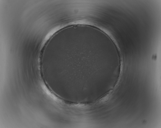 X0000113270998200909171709