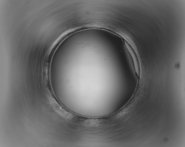 X0000113271000200909171709