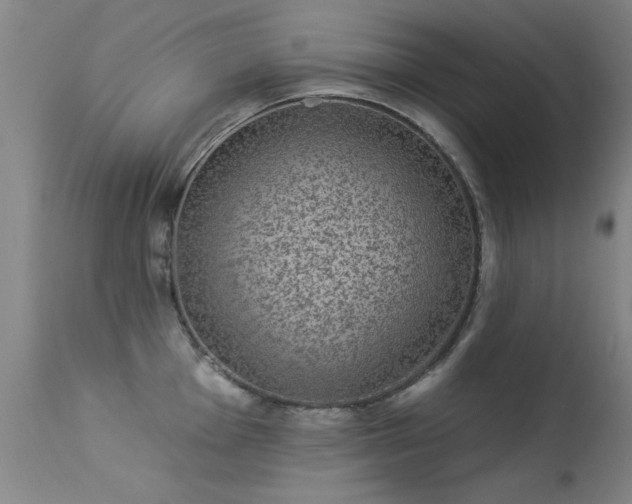 X0000113271001200909171709