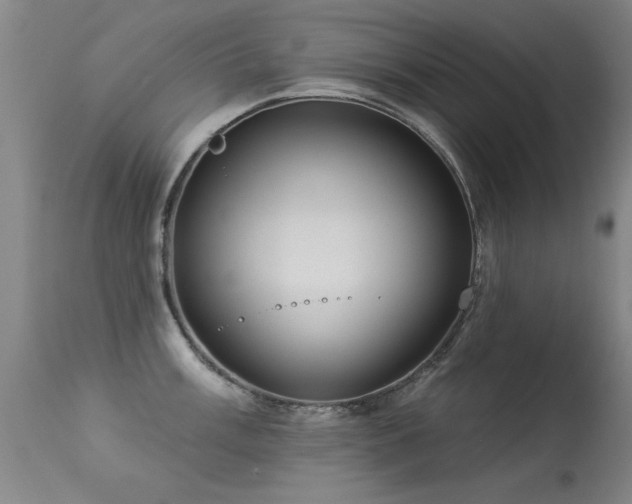 X0000113271003200909171709