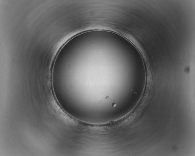X0000113271004200909171709