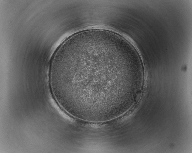 X0000113271005200909171709