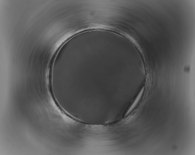 X0000113271007200909171709
