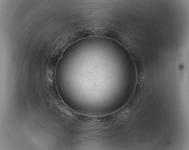 X0000113271010200909171708