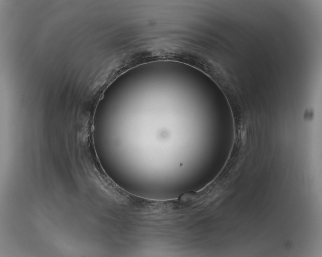 X0000113271012200909171708