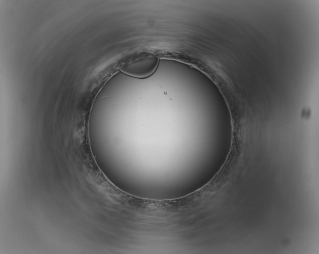 X0000113271015200909171708