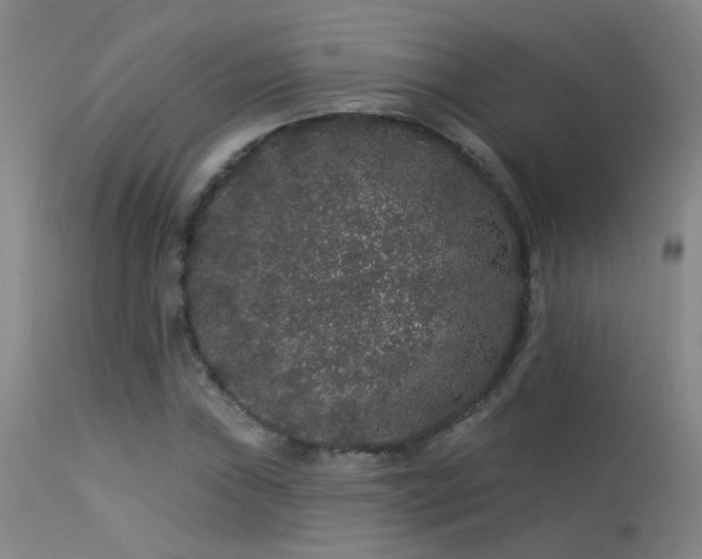 X0000113271019200909171708