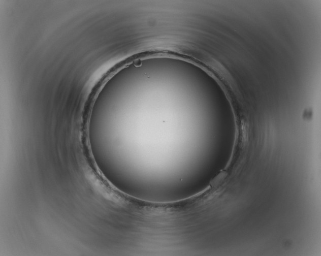 X0000113271020200909171708