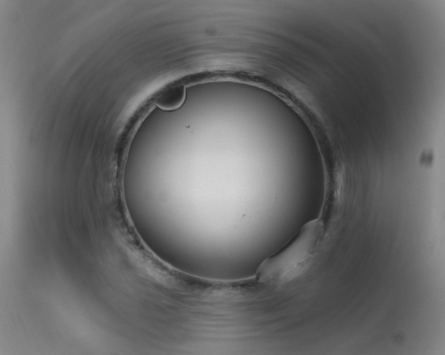 X0000113271021200909171708