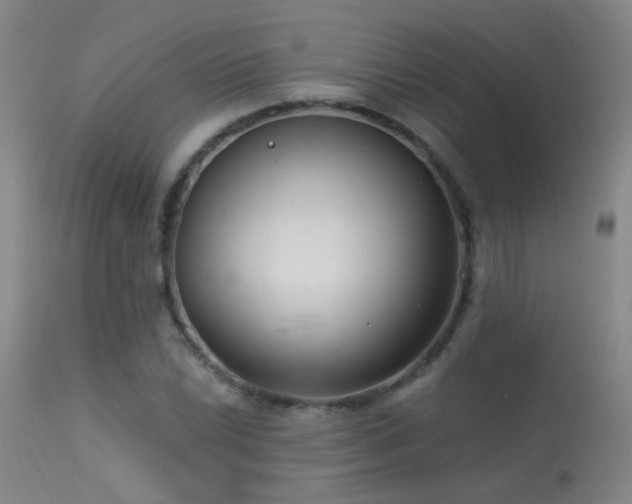 X0000113271022200909171708