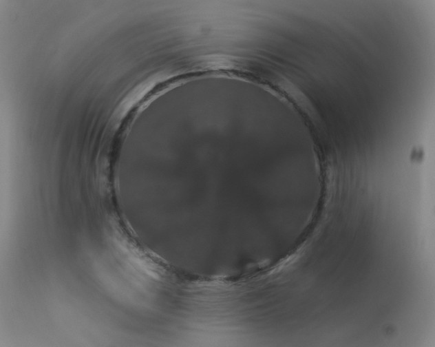 X0000113271023200909171708