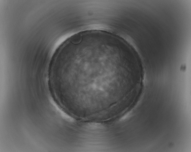 X0000113271024200909171708