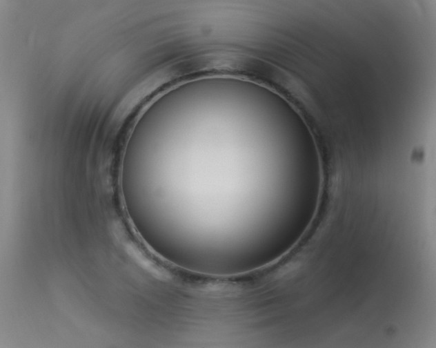 X0000113271026200909171708