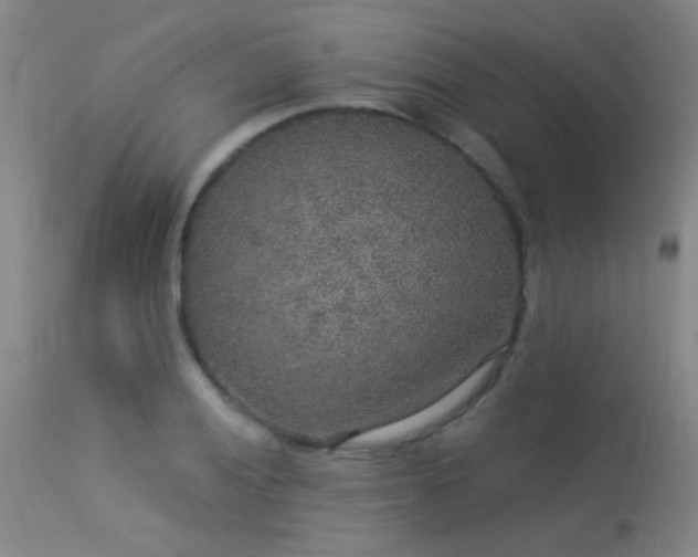 X0000113271028200909171709