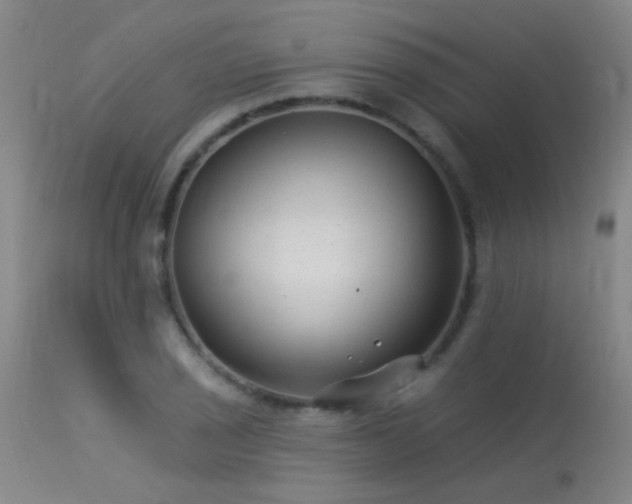 X0000113271029200909171709