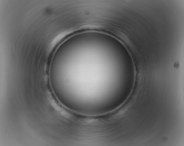 X0000113271030200909171709