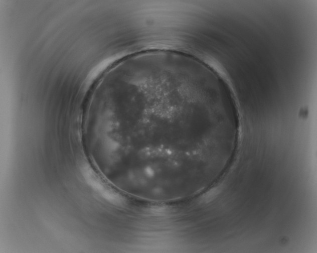 X0000113271035200909171709