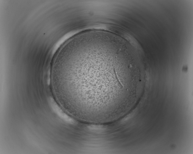 X0000113271036200909171709