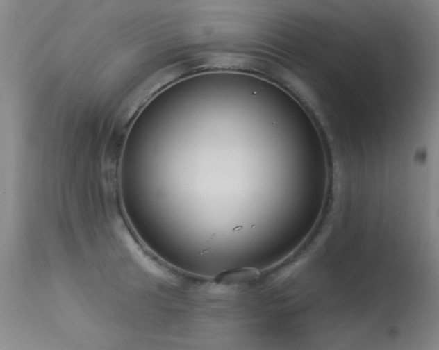X0000113271041200909171709